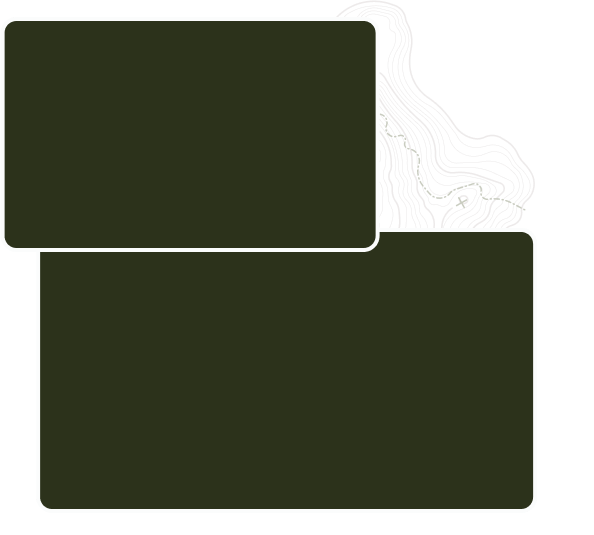 img-placeholder-2