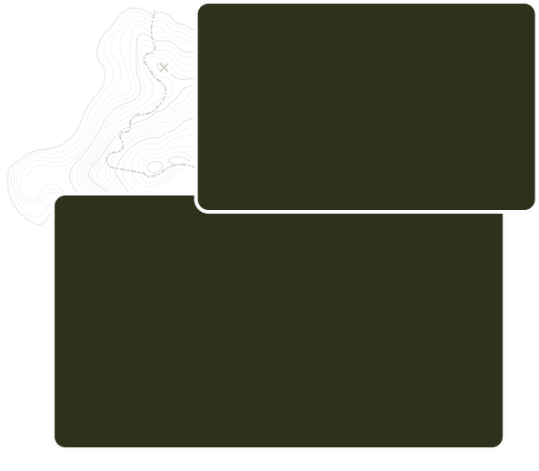img-placeholder